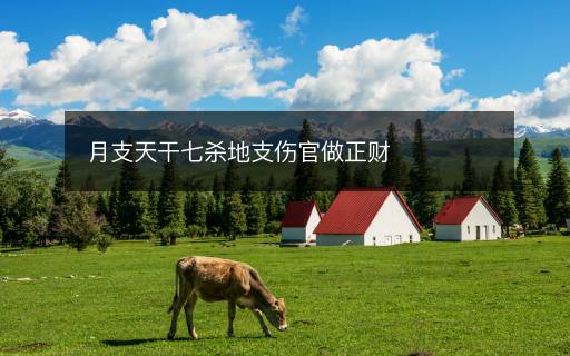 月支天干七殺地支傷官做正財