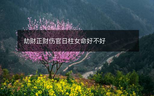 劫財正財傷官日柱女命好不好