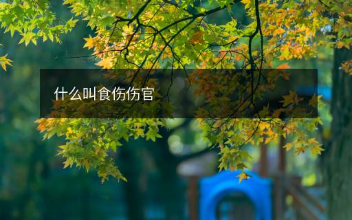 什么叫食傷傷官