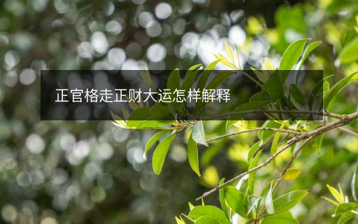正官格走正財(cái)大運(yùn)怎樣解釋
