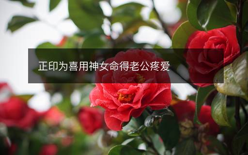 正印為喜用神女命得老公疼愛(ài)