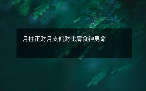 月柱正財月支偏財比肩食神男命