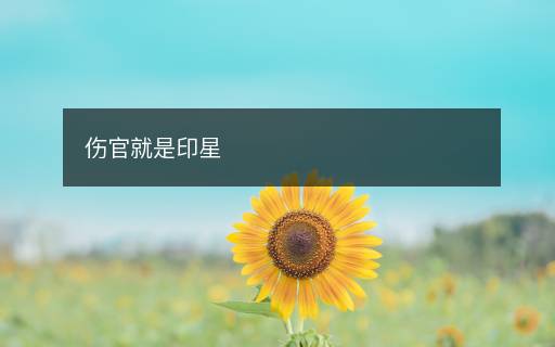 傷官就是印星