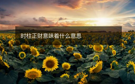 時柱正財意味著什么意思