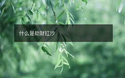 什么是劫財(cái)扛沙