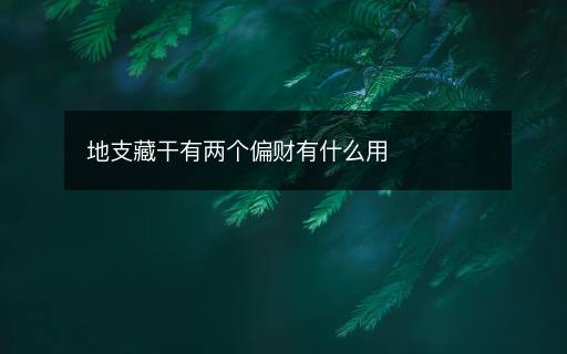 地支藏干有兩個(gè)偏財(cái)有什么用