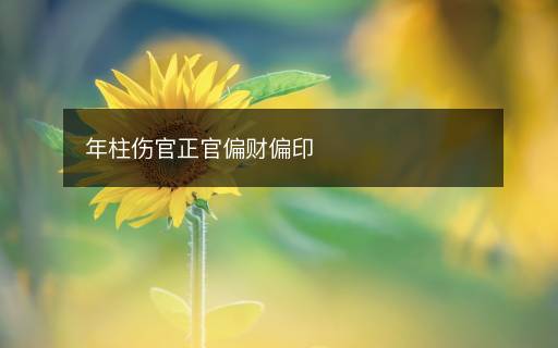 年柱傷官正官偏財(cái)偏印