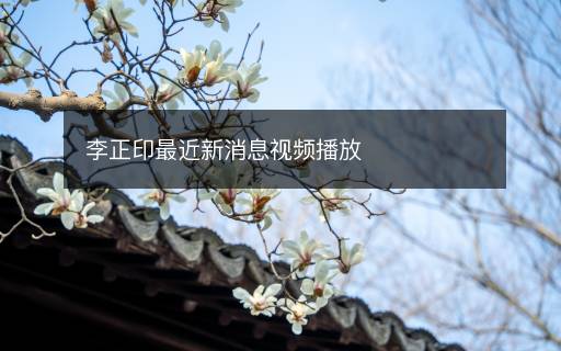 李正印最近新消息視頻播放