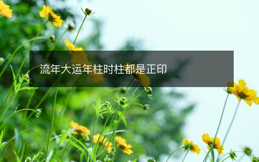 流年大運年柱時柱都是正印