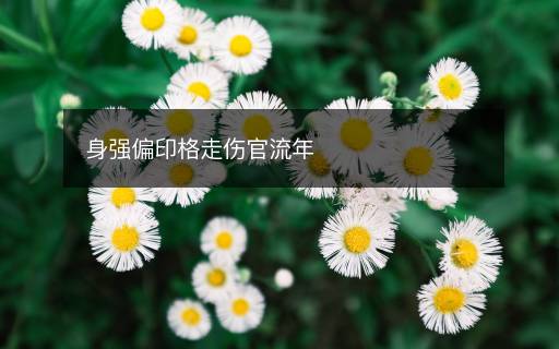 身強偏印格走傷官流年