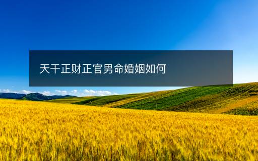 天干正財正官男命婚姻如何