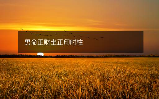 男命正財(cái)坐正印時(shí)柱