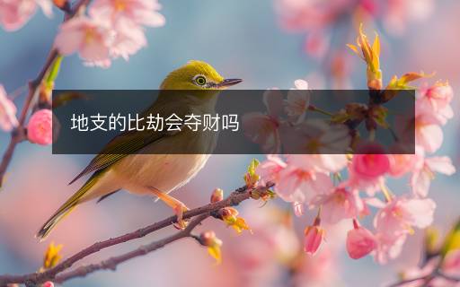 地支的比劫會(huì)奪財(cái)嗎