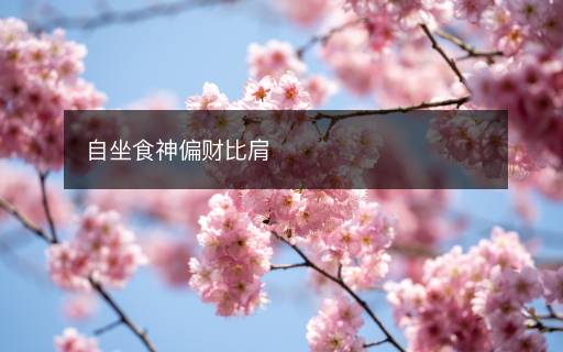 自坐食神偏財(cái)比肩