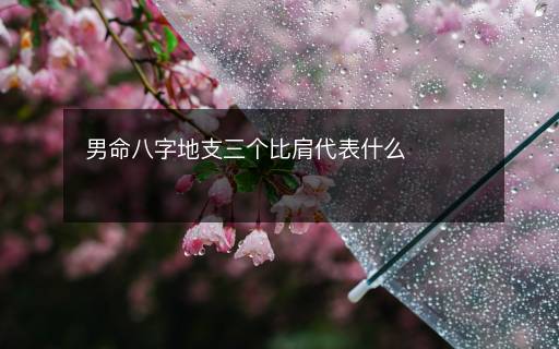 男命八字地支三個比肩代表什么