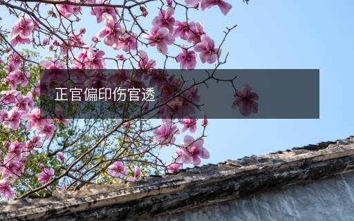 正官偏印傷官透