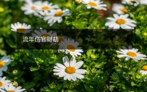 流年傷官財(cái)劫