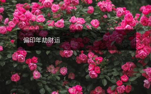 偏印年劫財運(yùn)