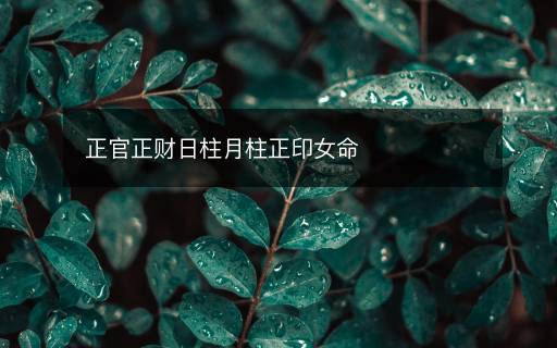 正官正財日柱月柱正印女命