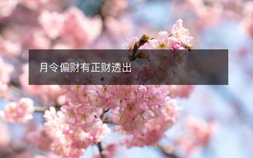 月令偏財有正財透出