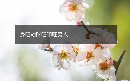 身旺劫財旺印旺男人