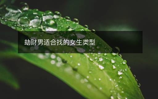 劫財(cái)男適合找的女生類型