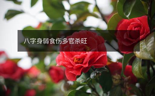 八字身弱食傷多官殺旺
