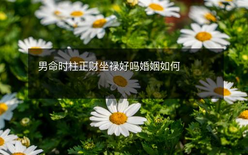男命時(shí)柱正財(cái)坐祿好嗎婚姻如何