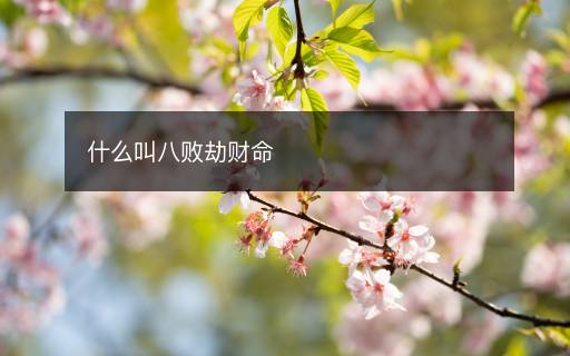 什么叫八敗劫財(cái)命