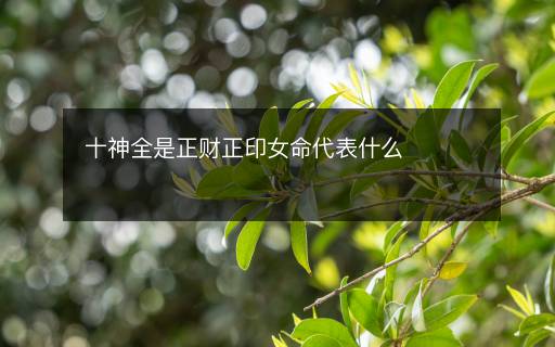 十神全是正財正印女命代表什么
