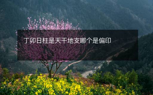 丁卯日柱是天干地支哪個(gè)是偏印
