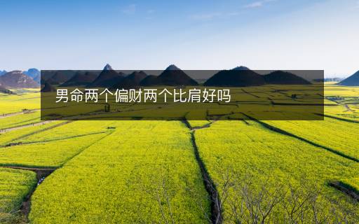 男命兩個(gè)偏財(cái)兩個(gè)比肩好嗎