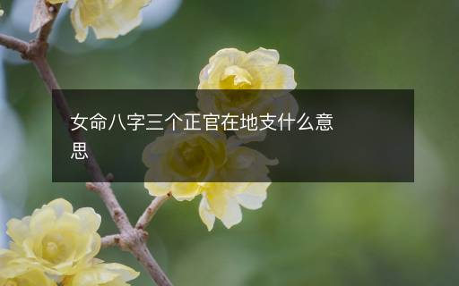 女命八字三個正官在地支什么意思