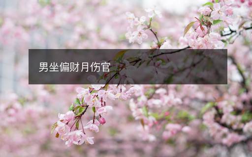 男坐偏財月傷官