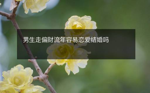男生走偏財流年容易戀愛結(jié)婚嗎