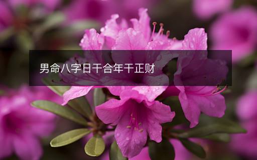 男命八字日干合年干正財