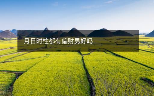 月日時(shí)柱都有偏財(cái)男好嗎