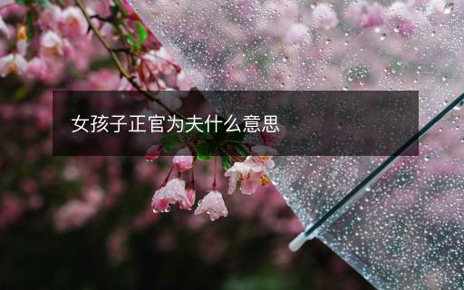 女孩子正官為夫什么意思