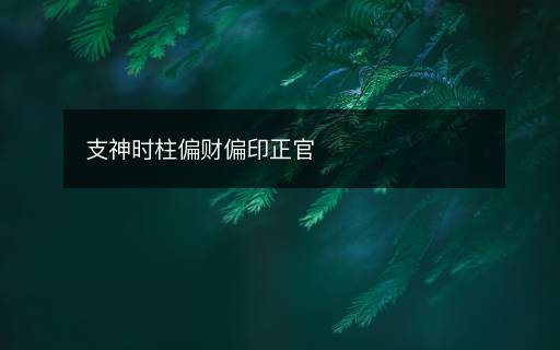 支神時柱偏財偏印正官