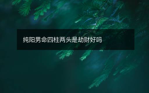 純陽男命四柱兩頭是劫財好嗎