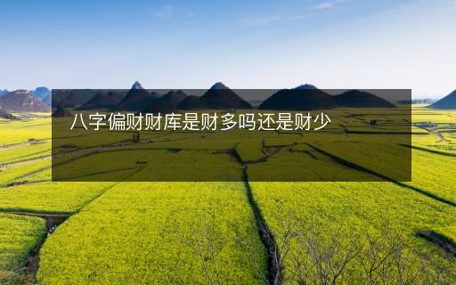 八字偏財財庫是財多嗎還是財少