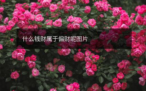 什么錢財屬于偏財呢圖片