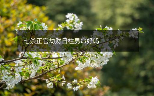 七殺正官劫財(cái)日柱男命好嗎
