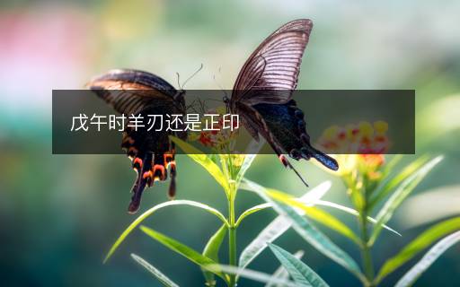 戊午時(shí)羊刃還是正印