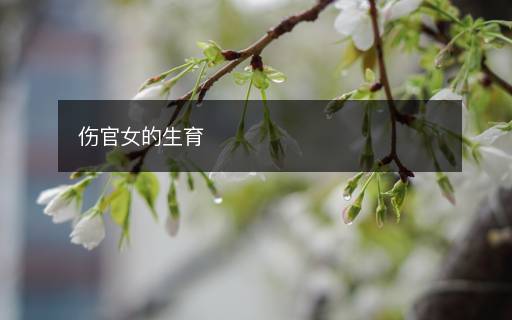 傷官女的生育