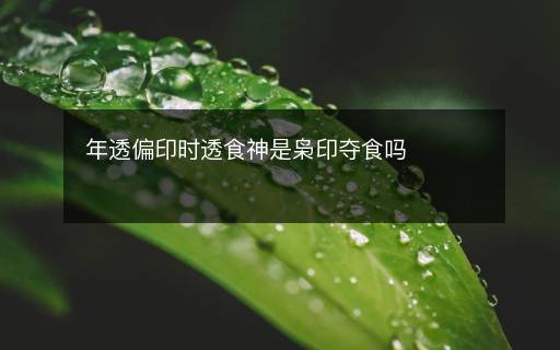 年透偏印時透食神是梟印奪食嗎