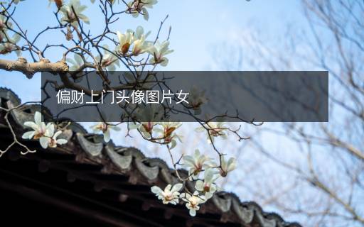 偏財(cái)上門(mén)頭像圖片女