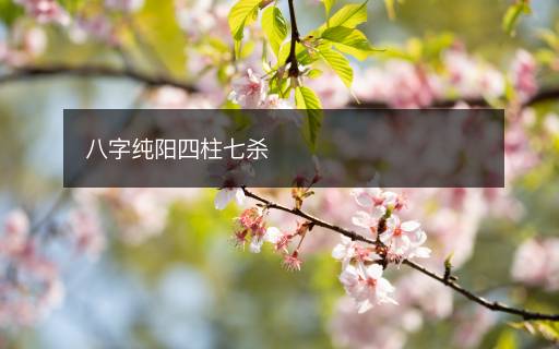八字純陽四柱七殺