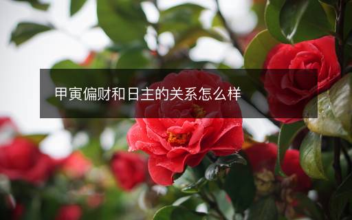 甲寅偏財(cái)和日主的關(guān)系怎么樣