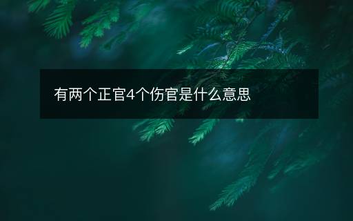 有兩個正官4個傷官是什么意思